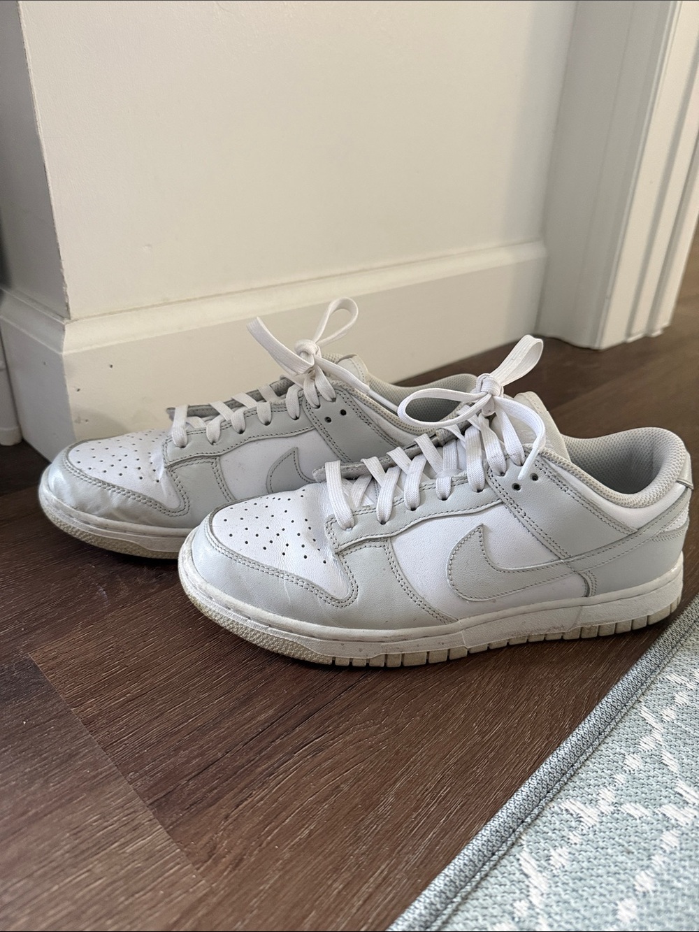 Nike Dunk Low Sneakers